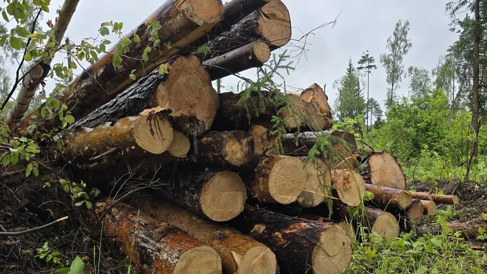 Фото: Марина Анисимова