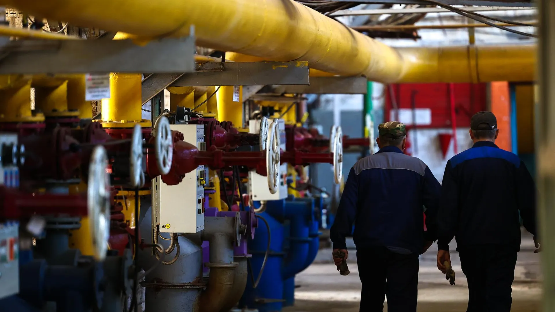 Фото: медиаархив Подмосковья