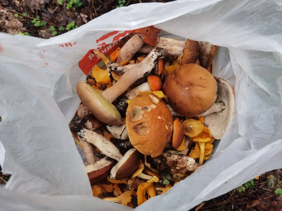 Фото: t.me/OErohanovaSP