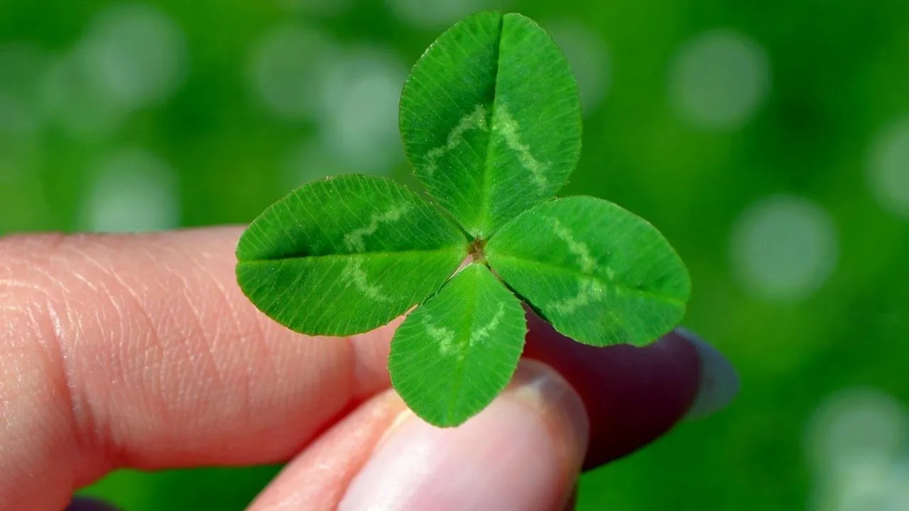 Фото: Pixabay.com