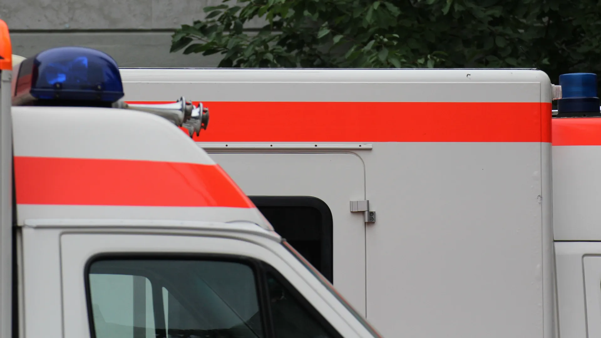 Фото: pxhere.com