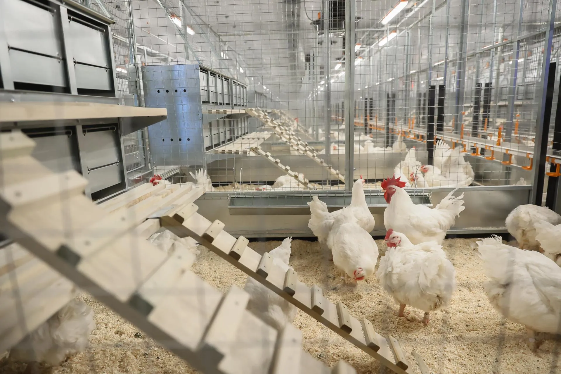 Фото: Константин Семенец