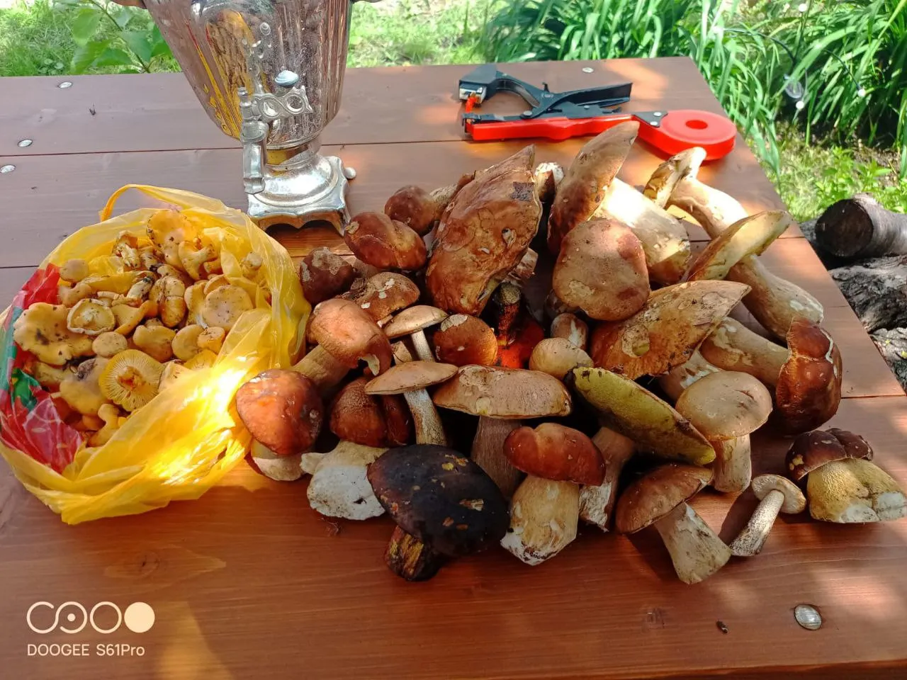 Фото: t.me/zaraisk_town