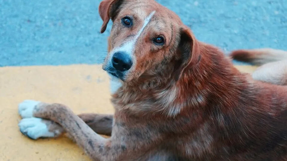 Фото: freepik.com