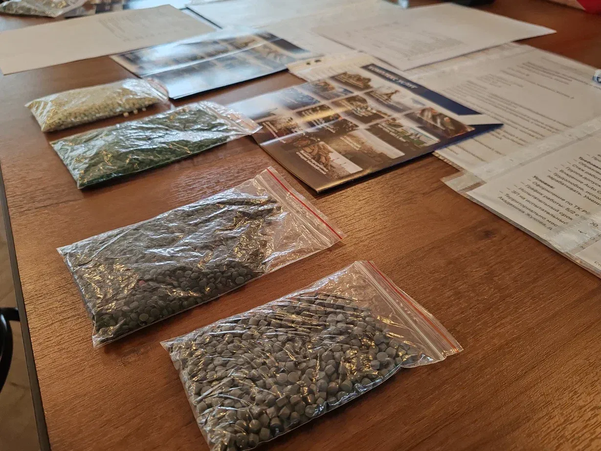 Фото: REGIONS/Юлия Павлова