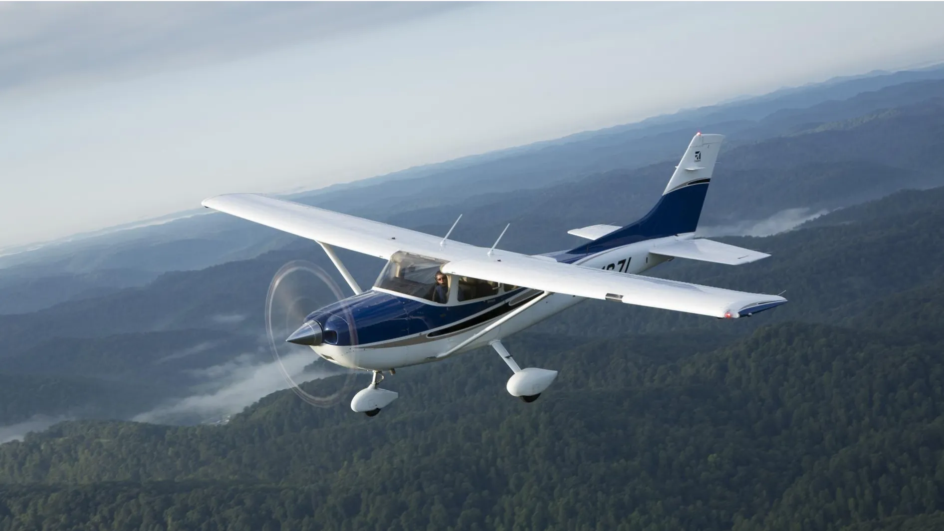 Источник: Комитет лесного хозяйства МО