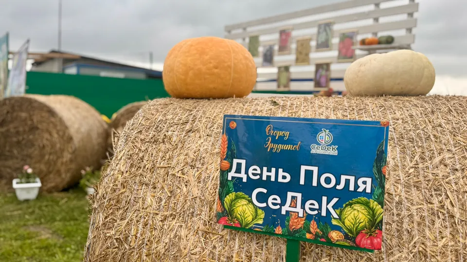 Фото: пресс-служба администрации г.о. Кашира