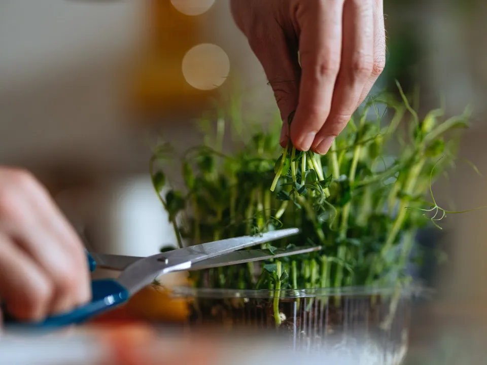 Фото: istockphoto.com/miniseries&nbsp;