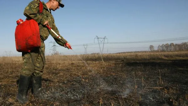 Комлесхоз: в области официально начался пожароопасный сезон