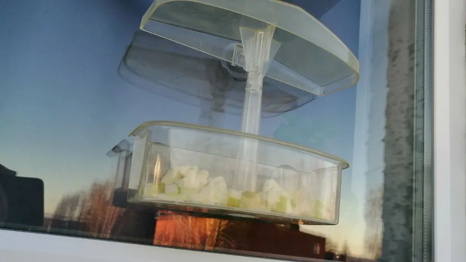 Фото: Полина Куркина