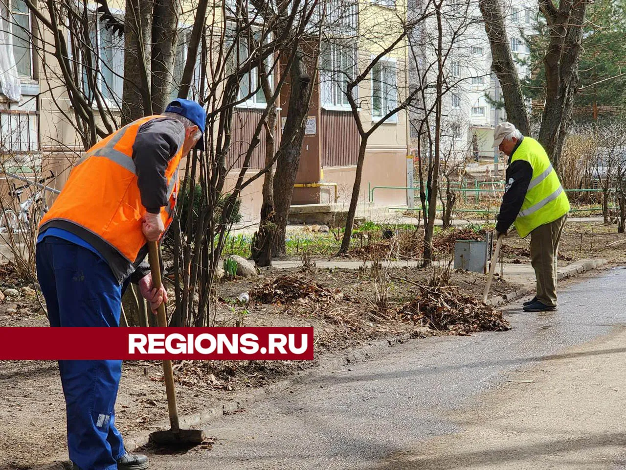 Фото: Валерия Тингаева