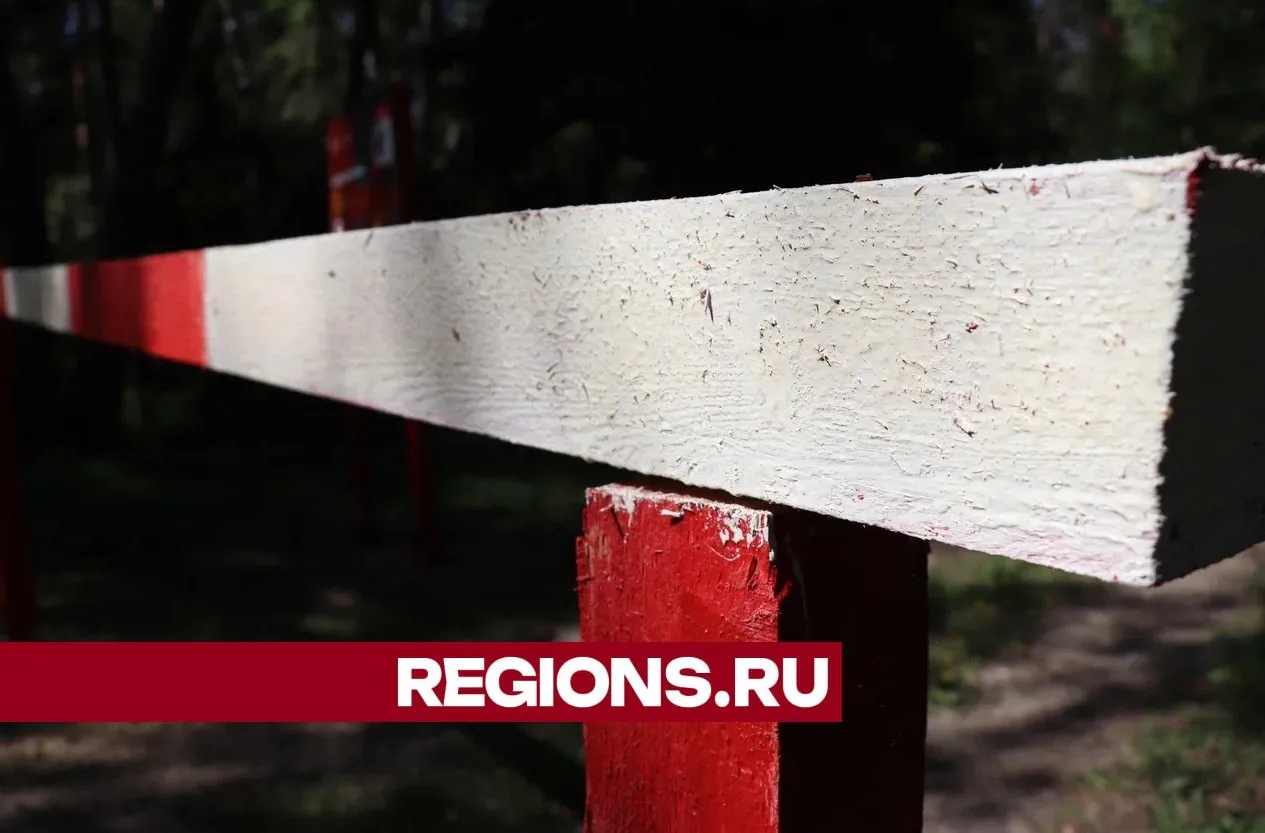 Фото: Regions/Василий Тремасов