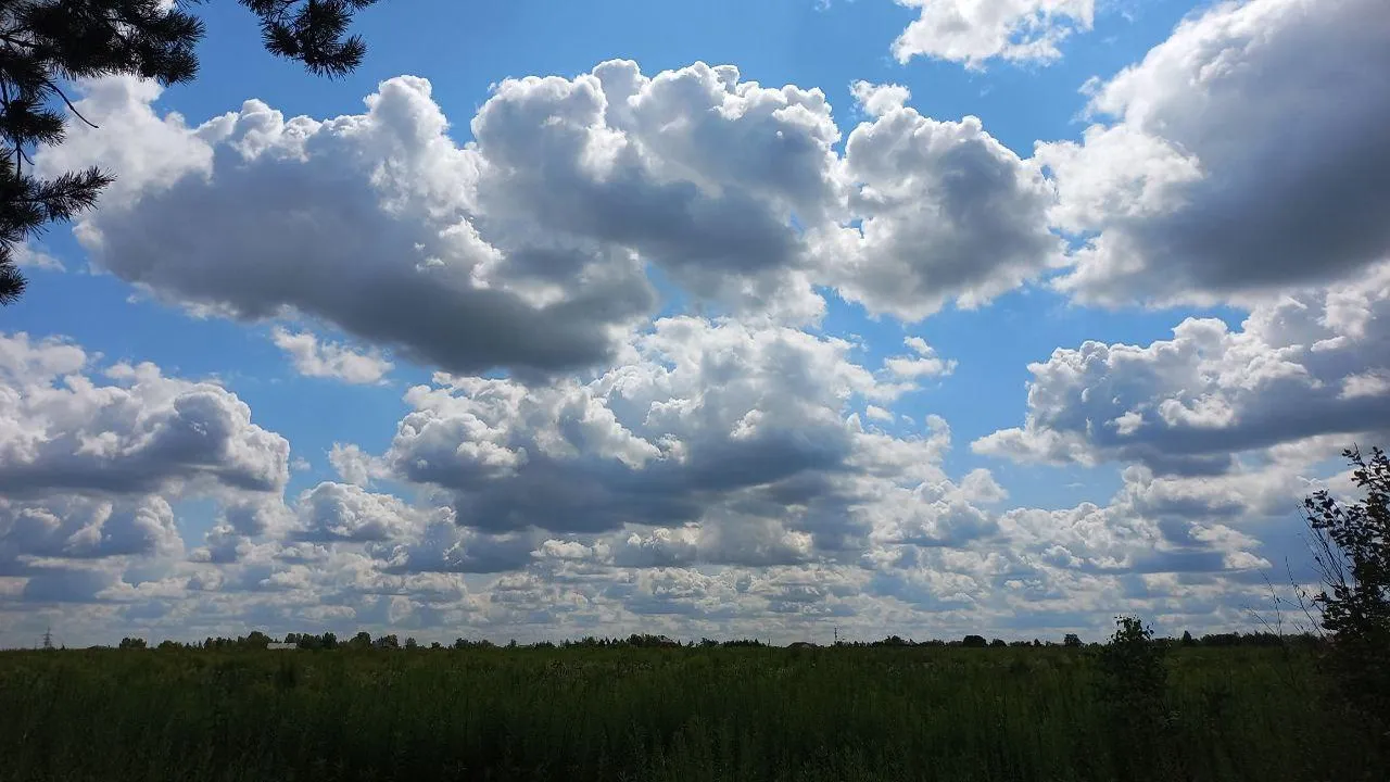 Фото: Олег Книжник