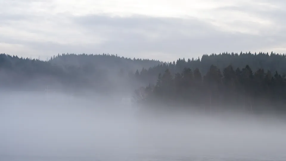 Фото: REGIONS/Наталия Надточая