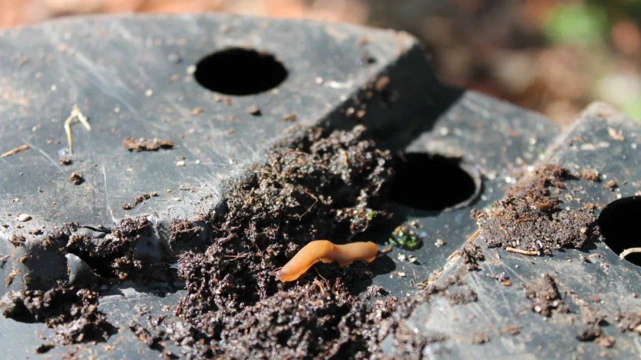 REGIONS/Илья Попов