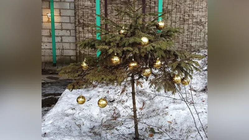 Наряженная елка в Раменском взорвала соцсети