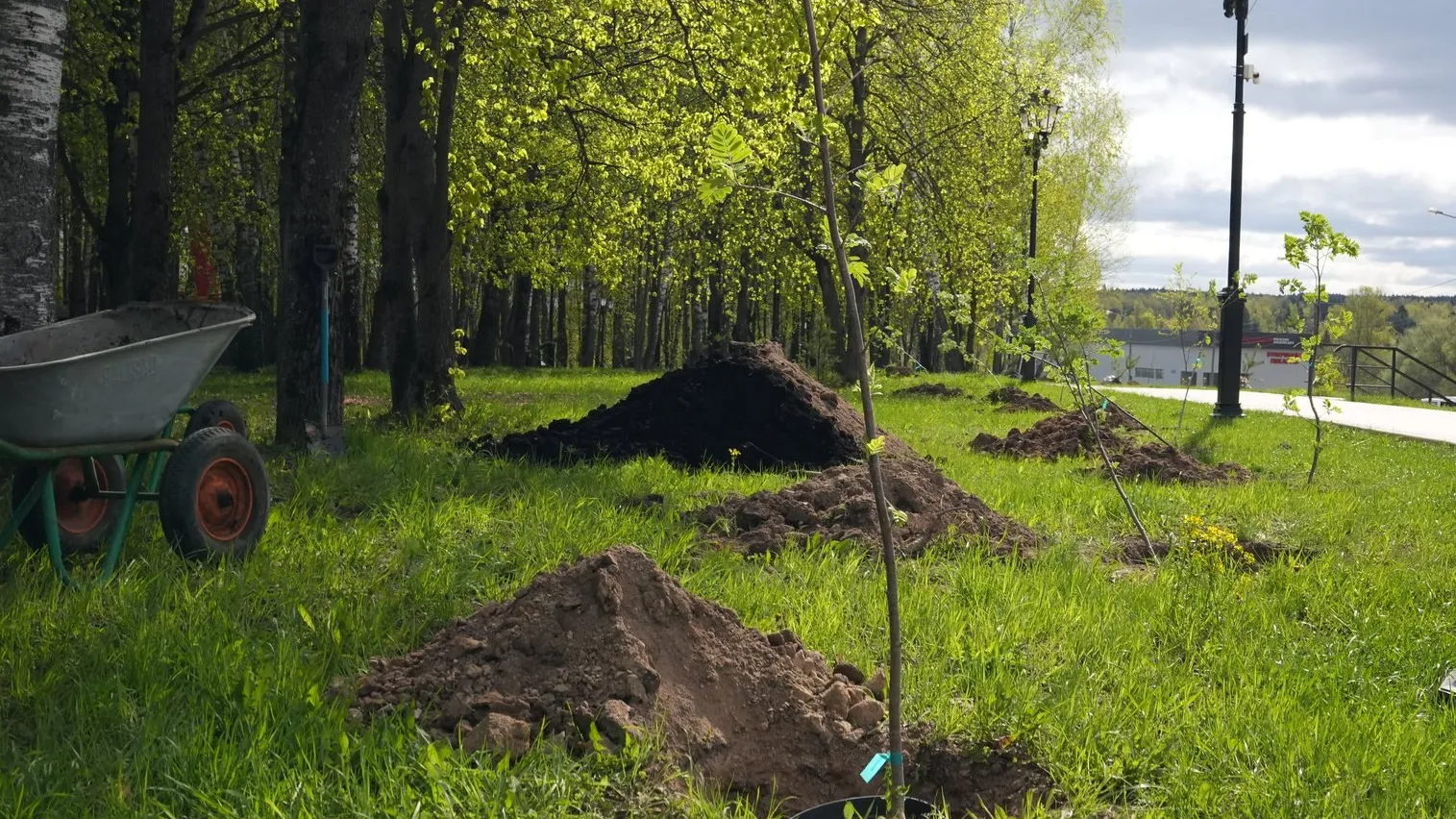 Фото: пресс-служба администрации Наро-Фоминского г.о.