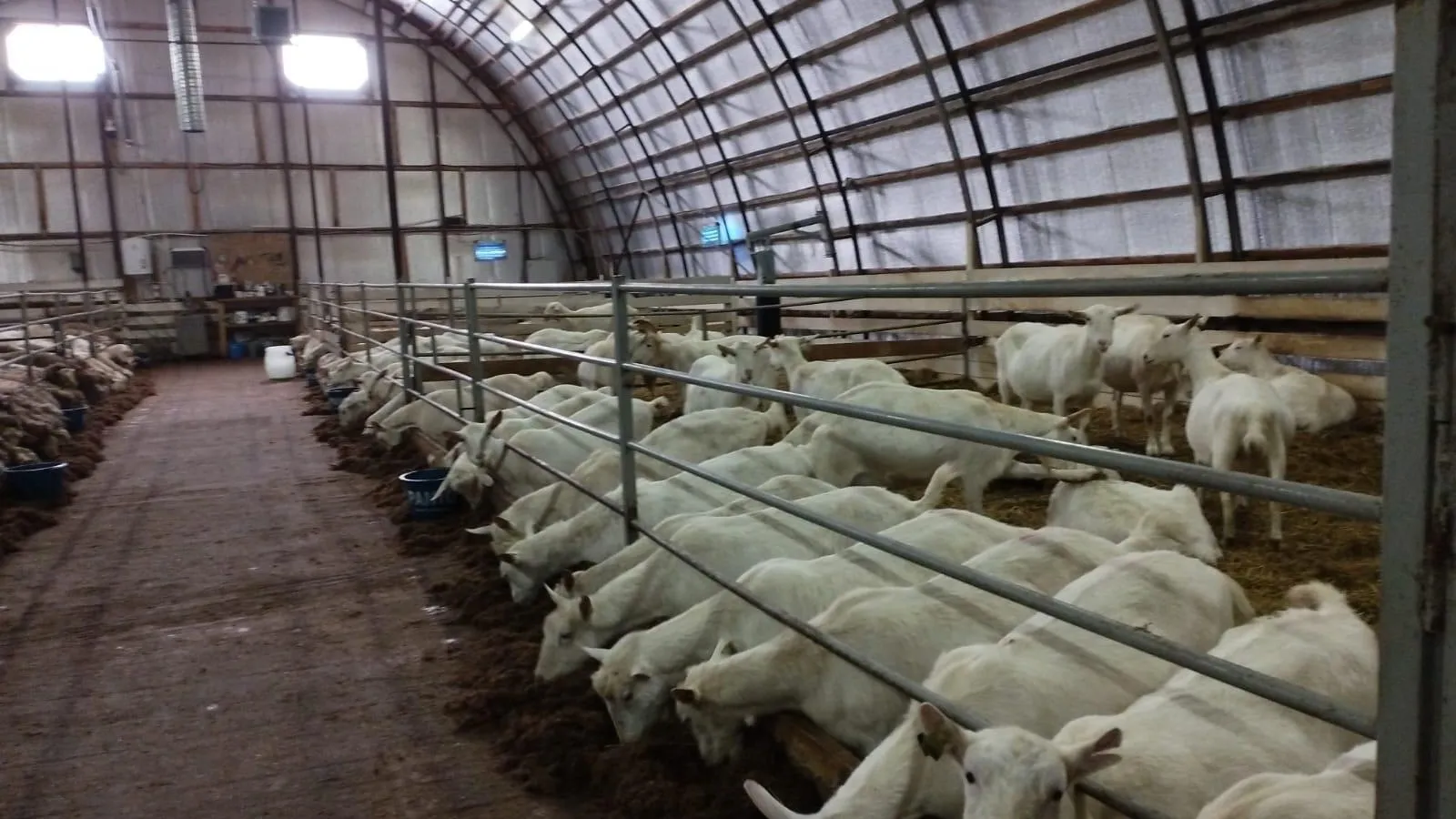 Фото: пресс-служба г. о. Шаховская