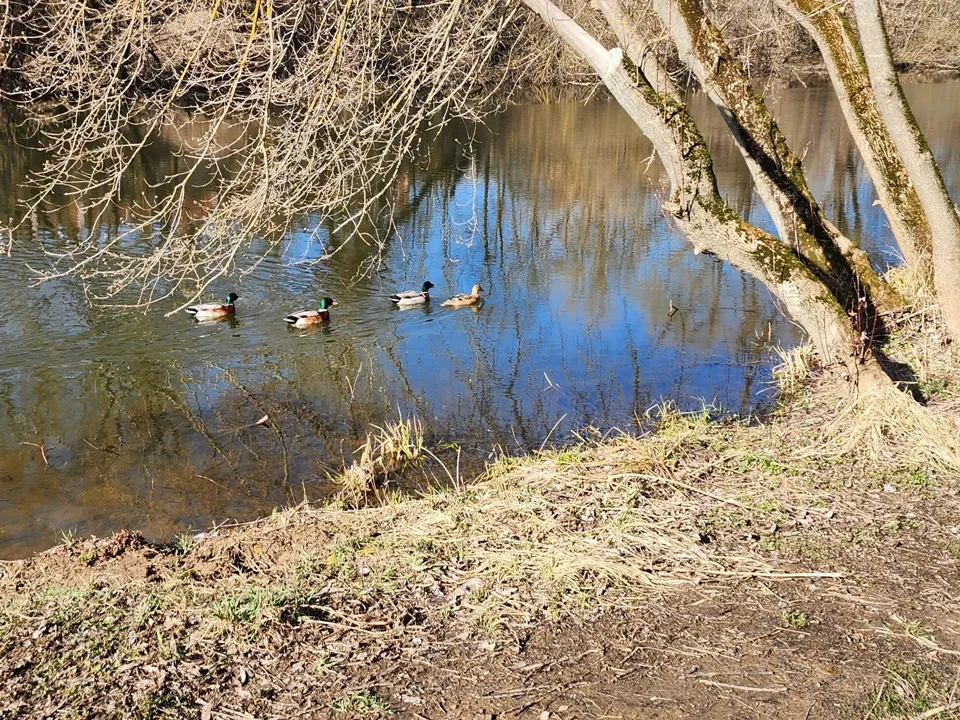 Фото: REGIONS/Александр Степушкин