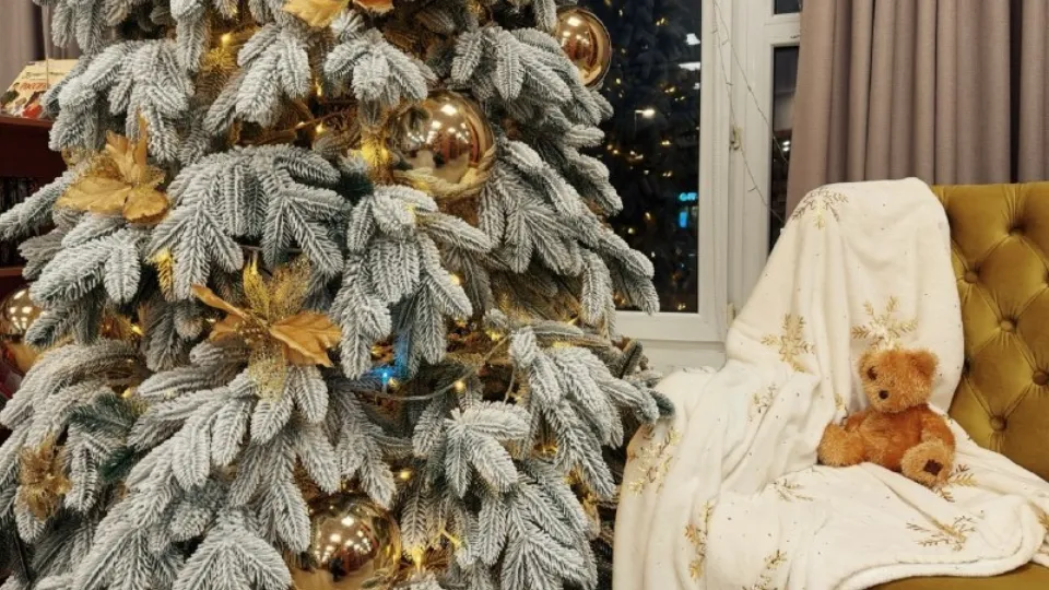 Фото: Дмитровская библиотека