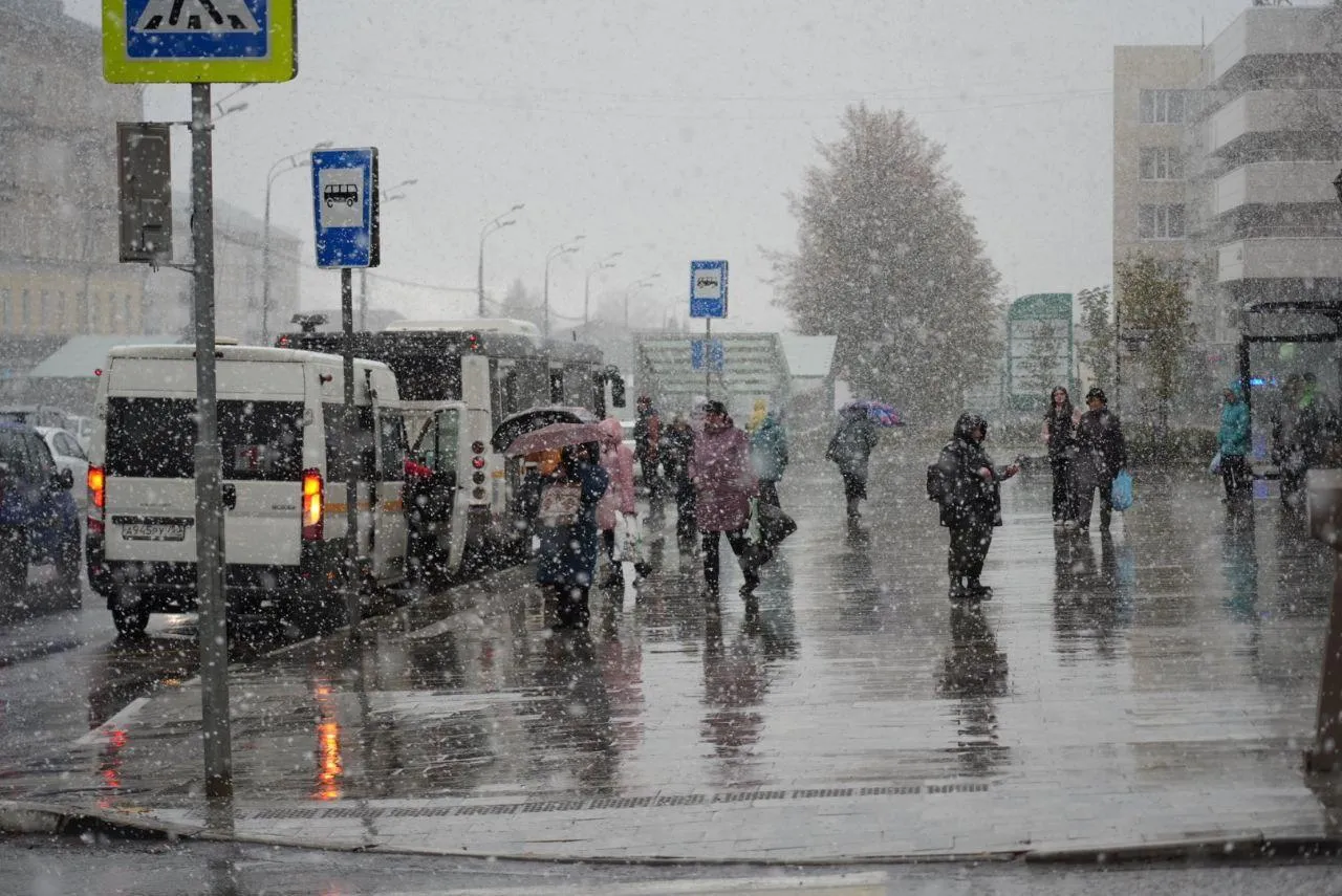 Дмитрий Зайчиков