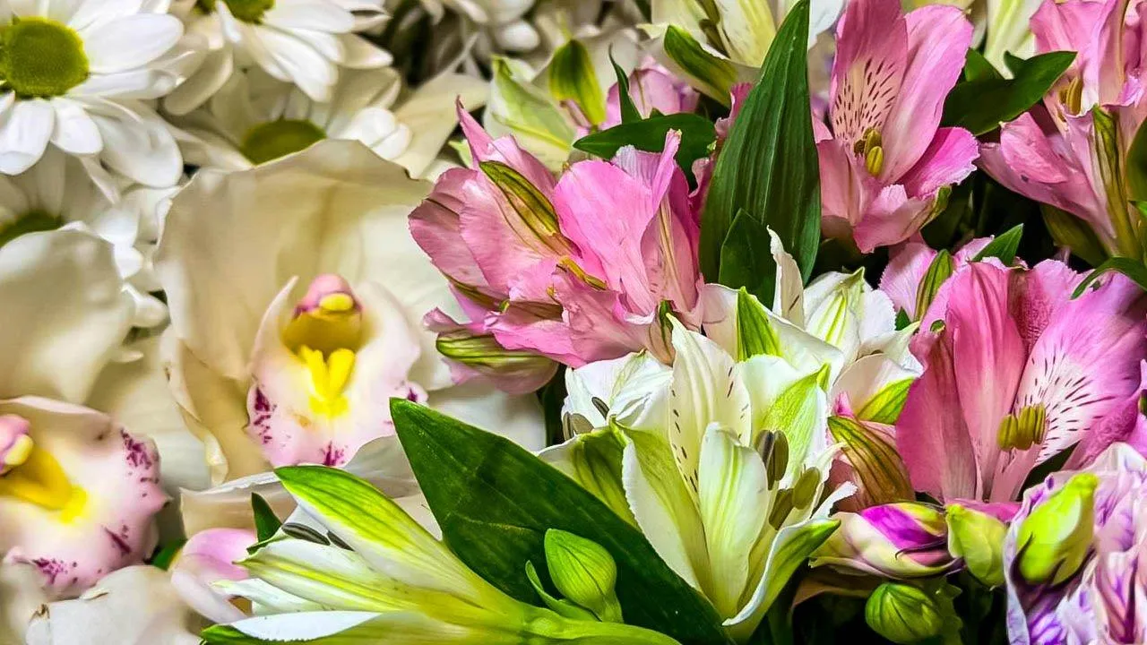 REGIONS/Дарина Левкина