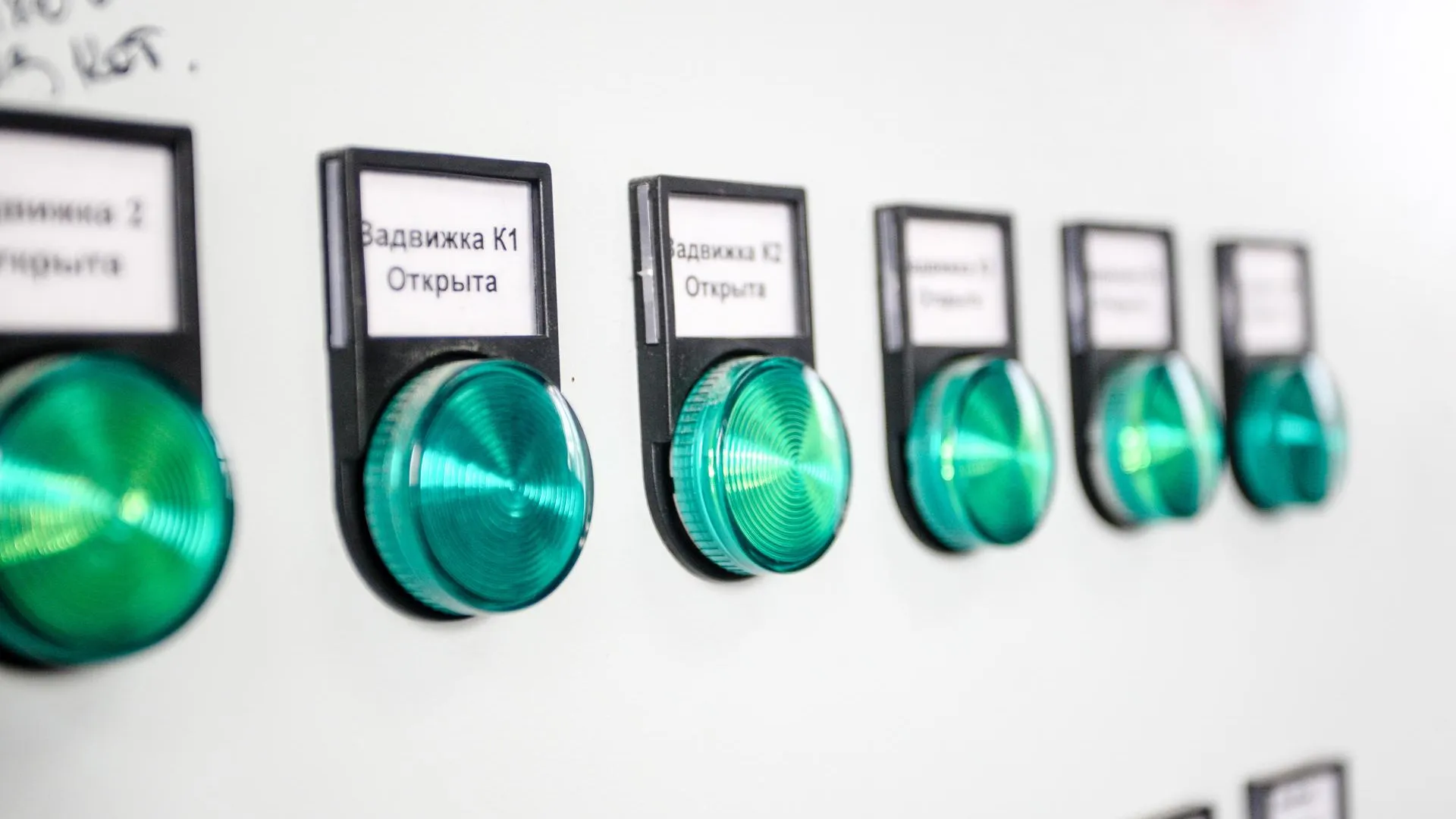 Фото: Виталий Ватулин