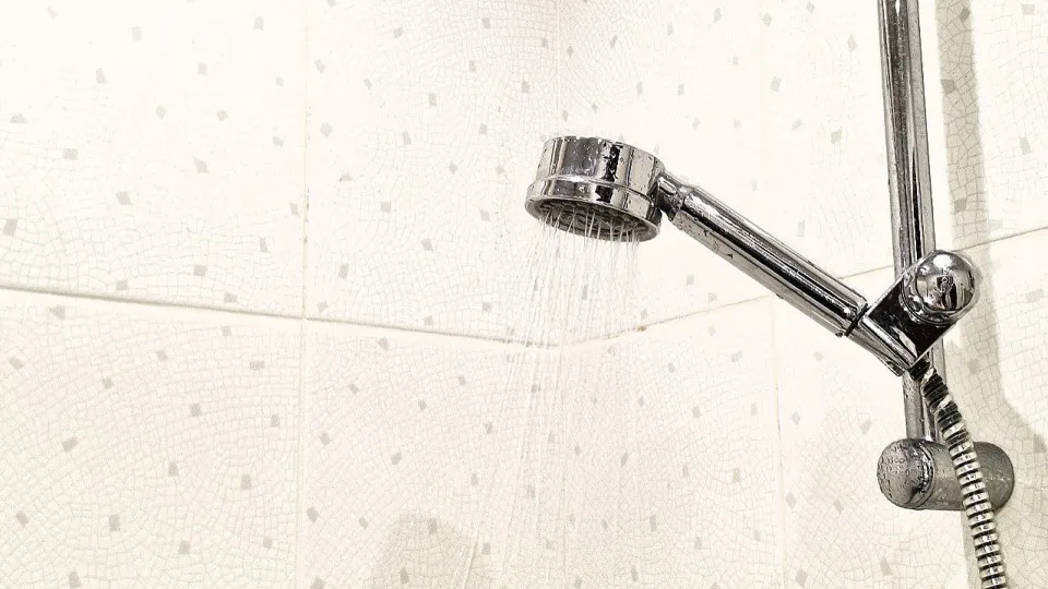 Фото: МедиаБанк Подмосковья/Иван Петрушин