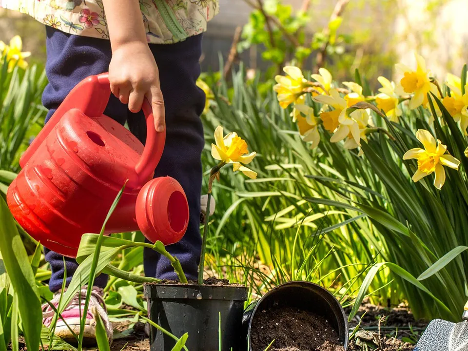 Фото: freepik.com