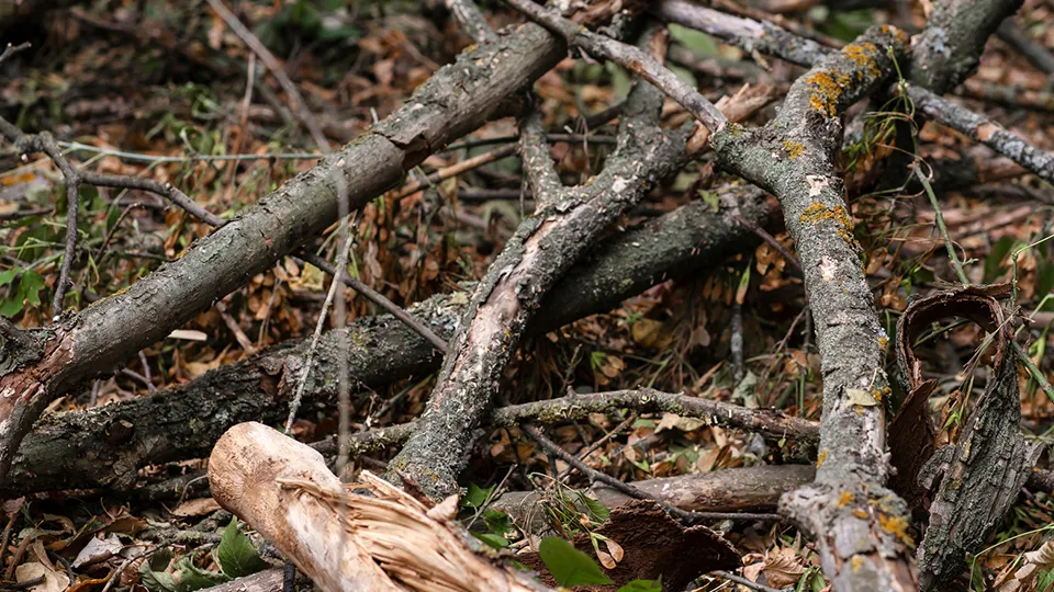 Фото: istockphoto.com