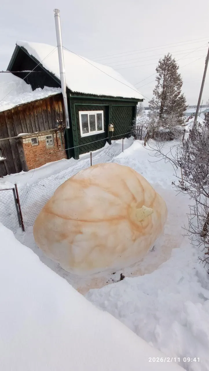 Из личного архива Александра Чусова
