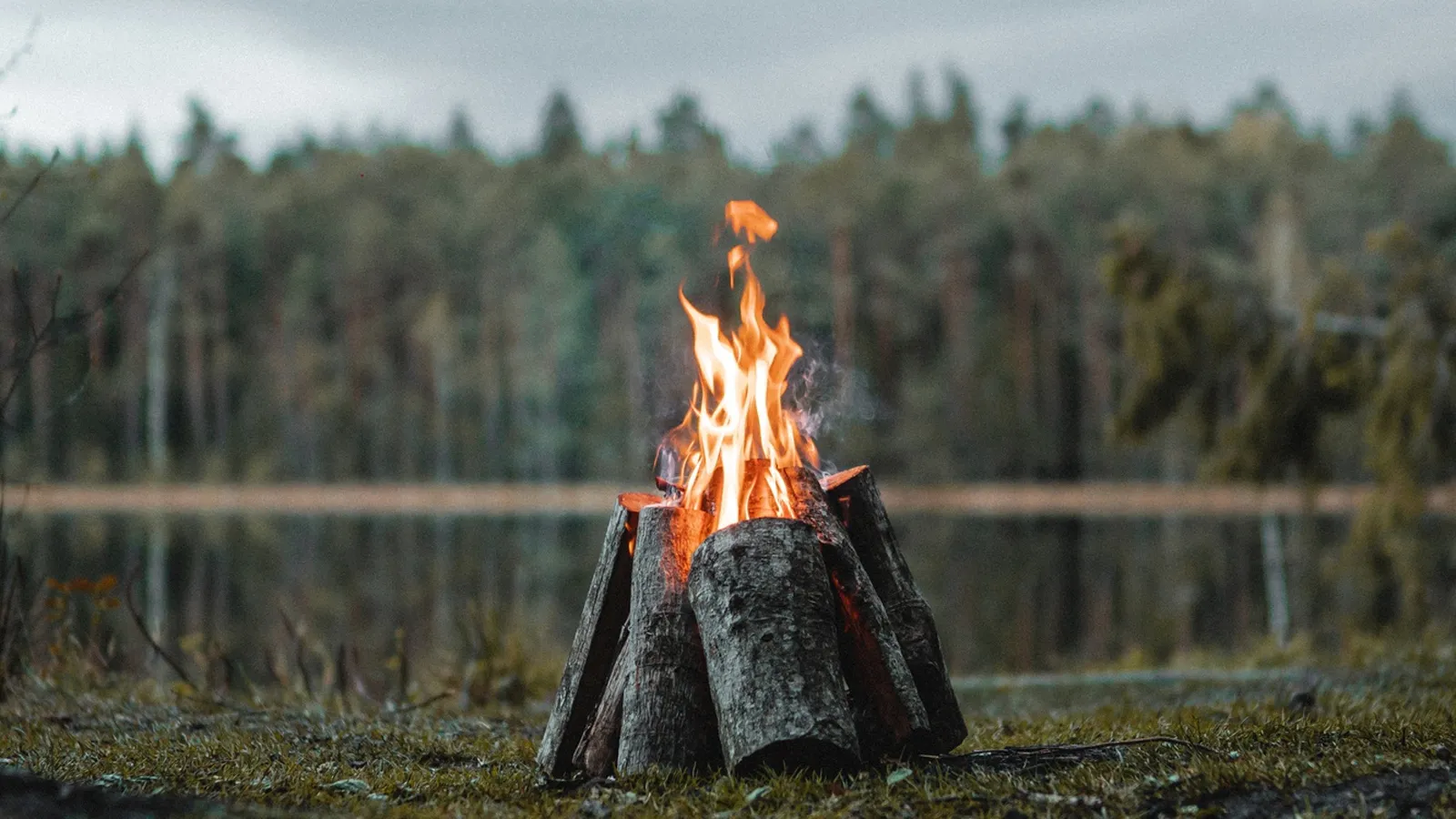 Фото: pxhere.com