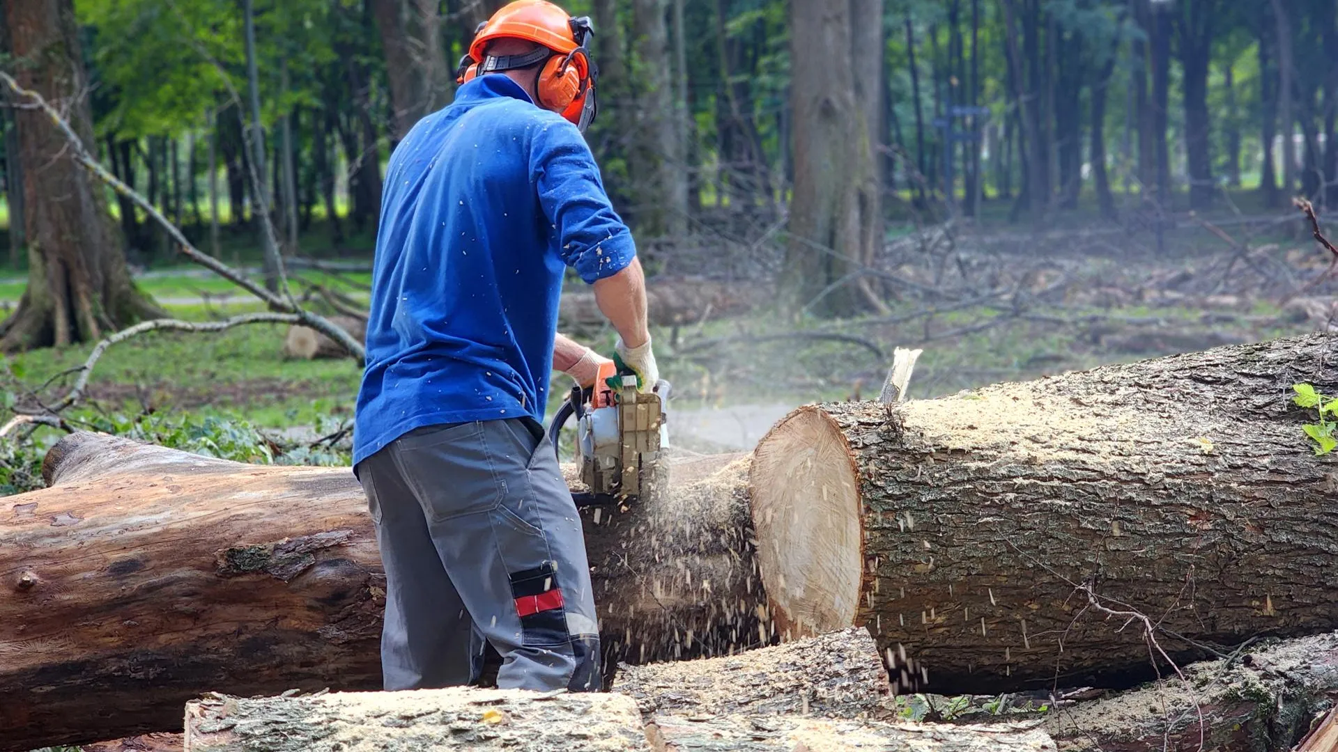 Фото: Полина Пахомова