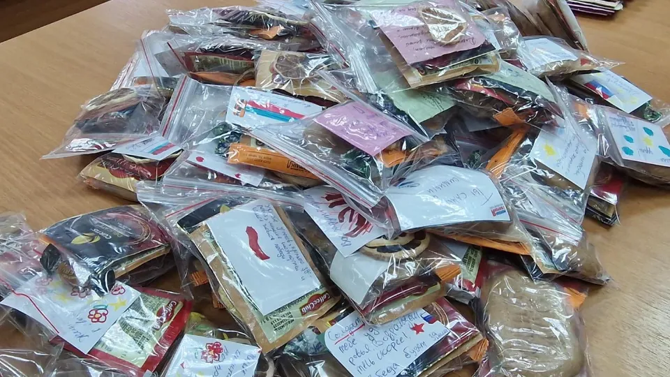 Алена Притула