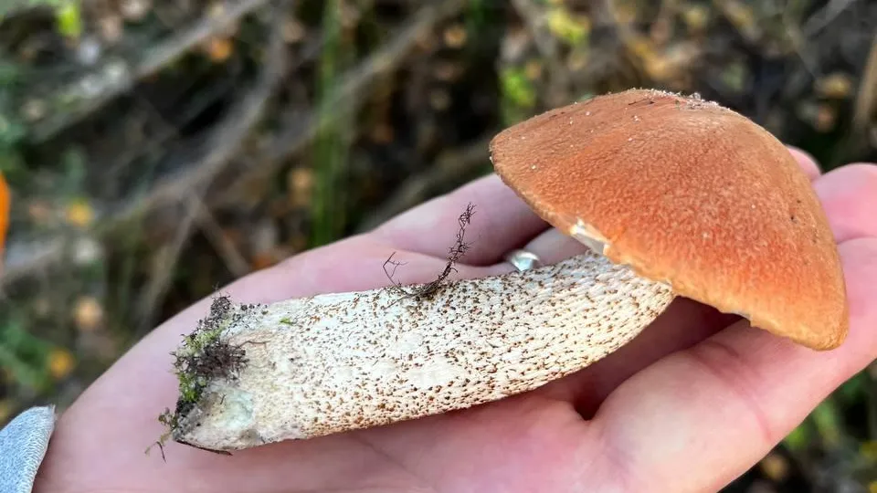 Фото: Анна Мороз