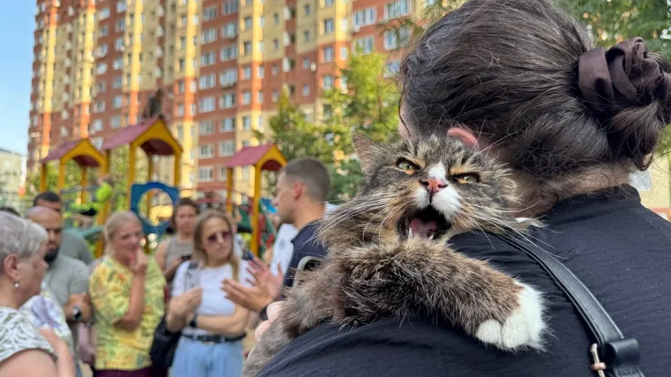 Фото: t.me/yrovsg