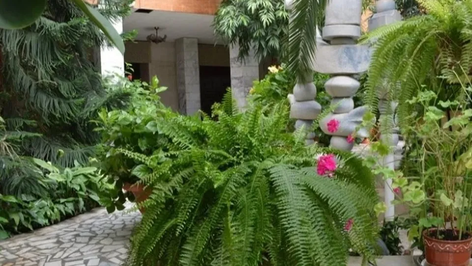 Фото: Кирилл Софьинский