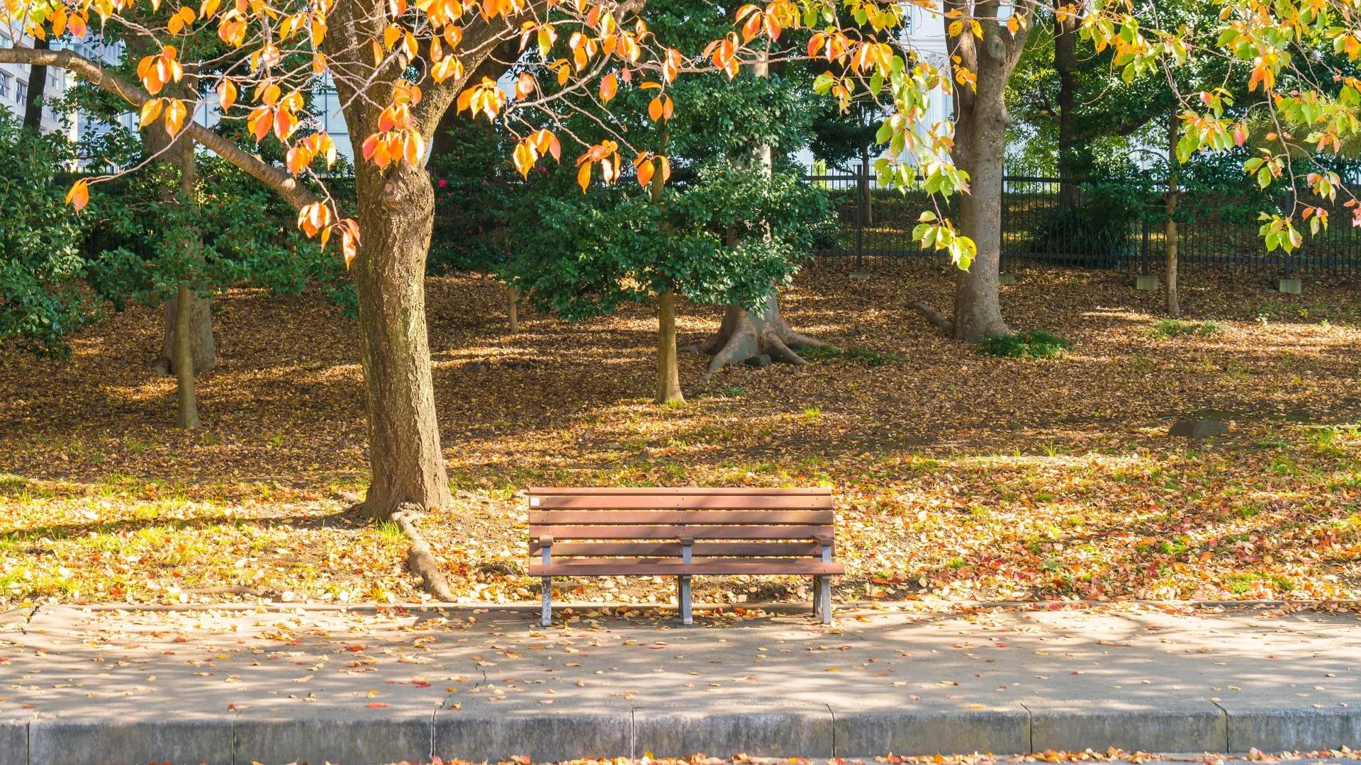 Изображение от topntp26 на Freepik