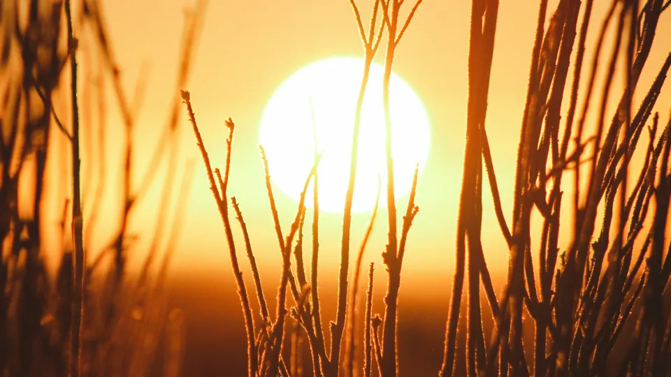 Фото: unsplash.com