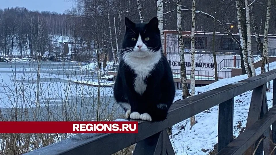 Фото: Дарья Орнадская