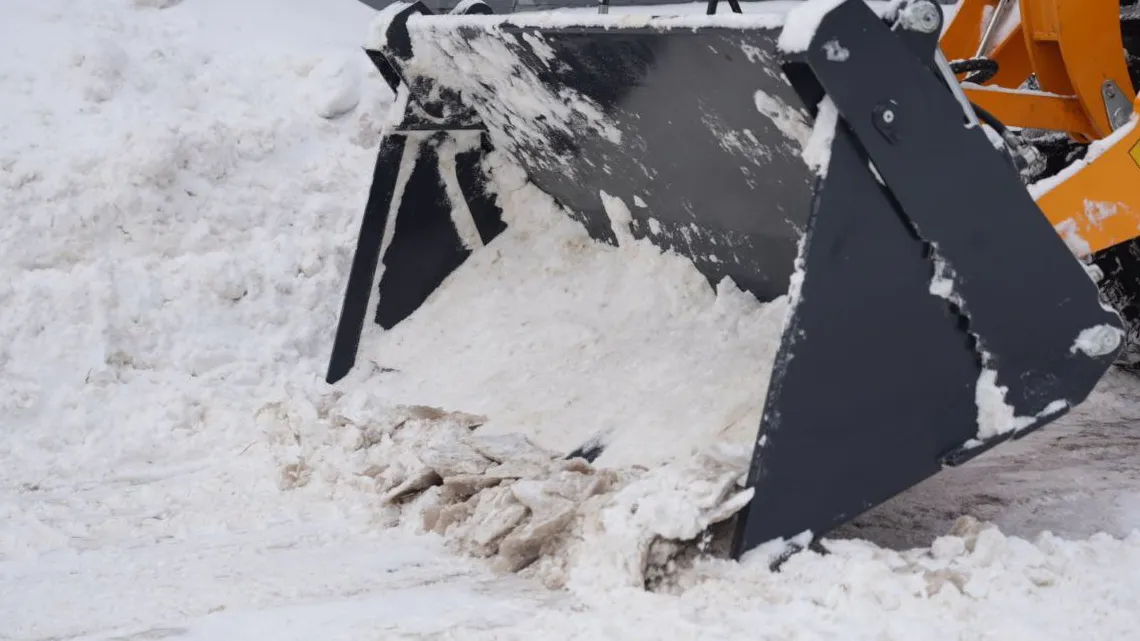 Фото: Дмитрий Зайчиков