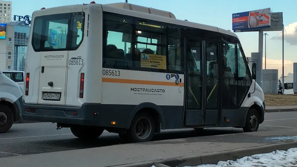 Фото: Дарья Антифьева