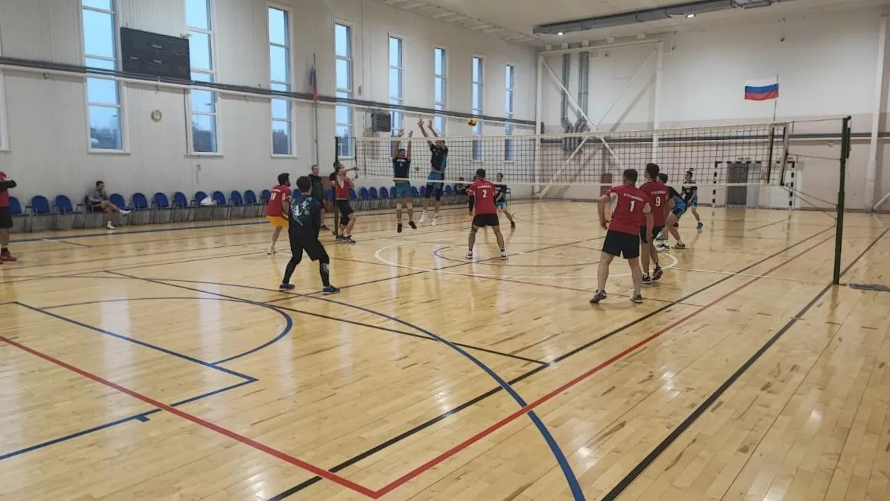 Фото: Владимир Задорожный