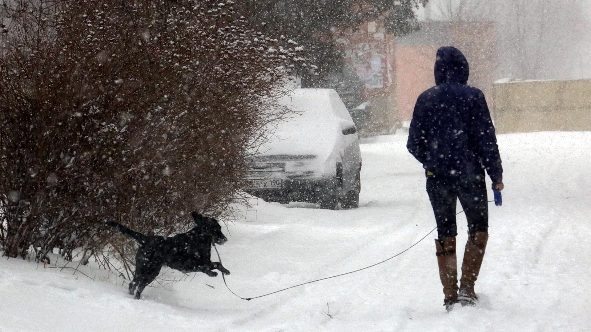 медиасток.рф
