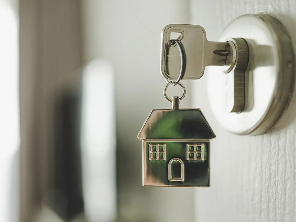 На Wildberries начали продавать дома: юристы предупредили, чем опасна такая покупка