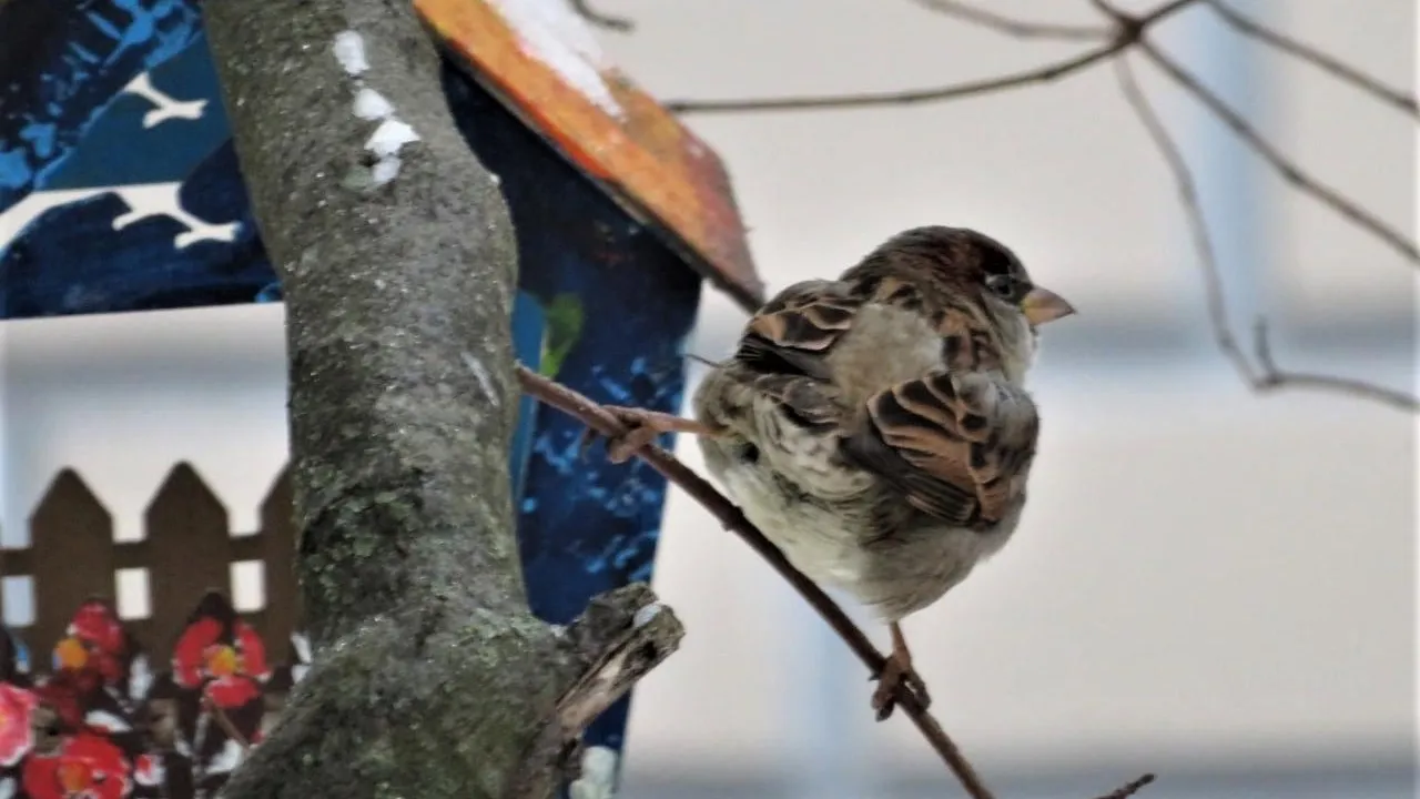 Фото: Комитет лесного хозяйства МО