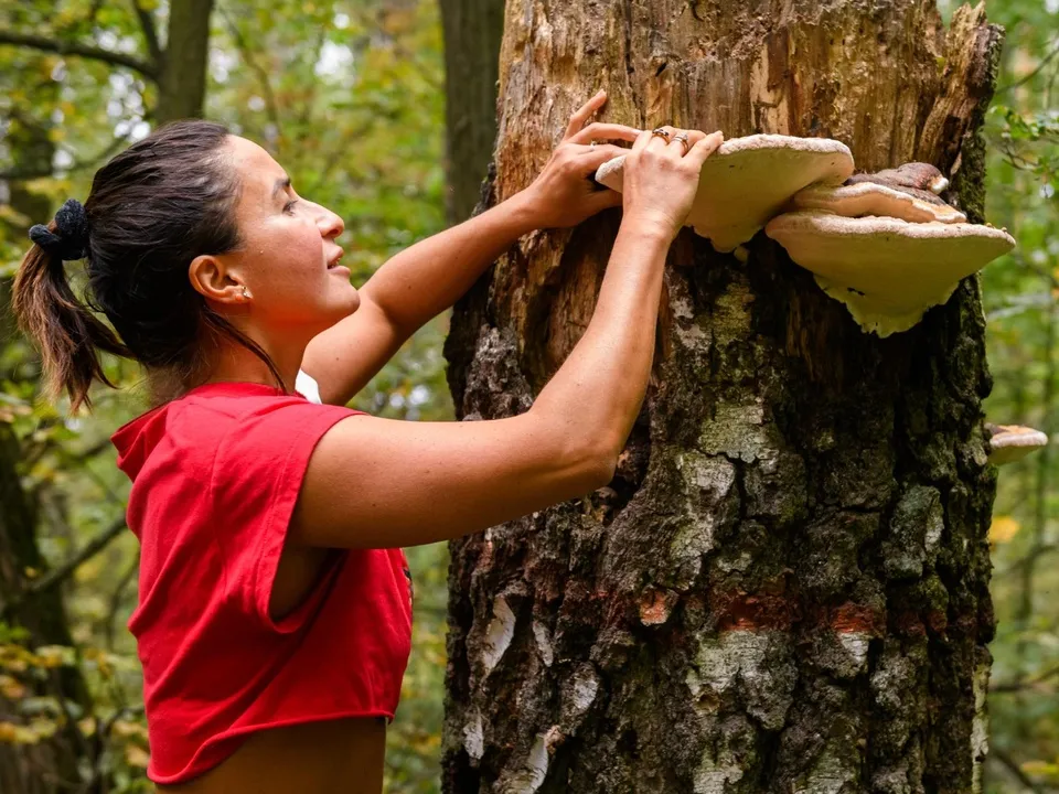 Фото: Владимир Думчев&nbsp;