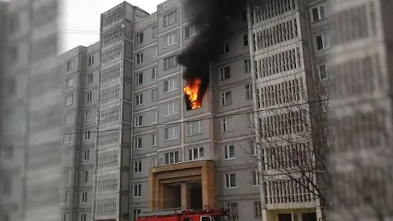 Старушка с собакой заживо сгорели в пожаре в Серпухове
