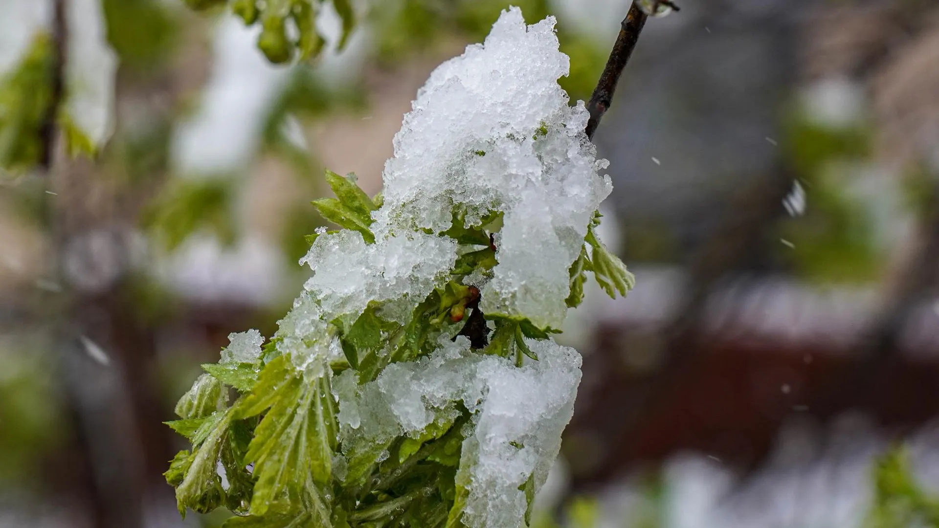 Alexander Sayganov/Keystone Press Agency