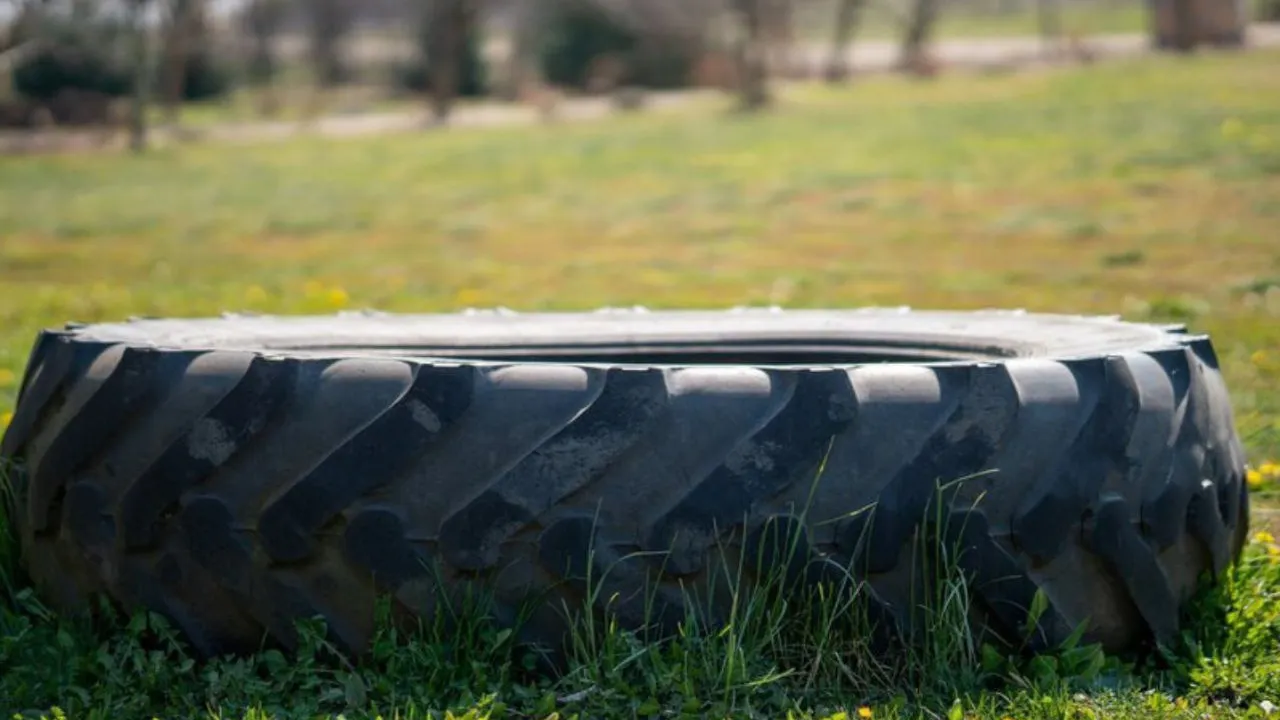 Фото: freepik.com